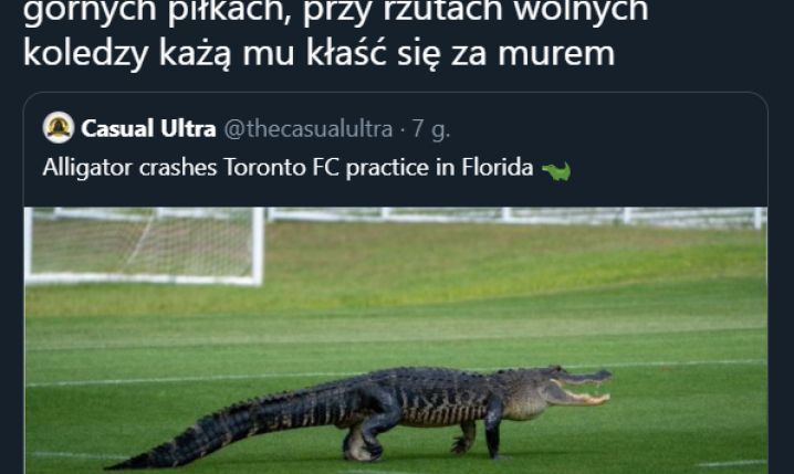 Aligator na treningu drużyny Toronto FC! :D
